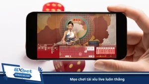 mẹo chơi tài xỉu live luôn thắng