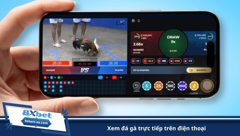 xem đá gà trực tiếp trên điện thoại